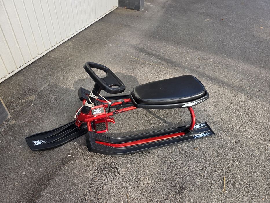 Шейна снегокат Мони