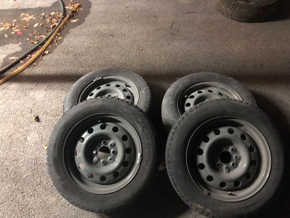 Балон шипый зимний