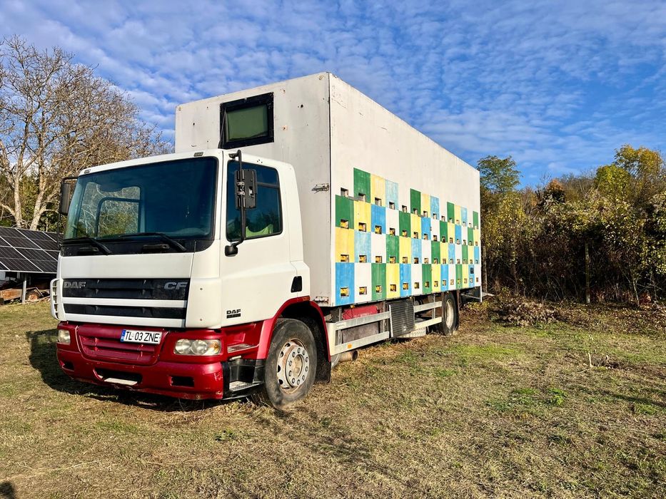 Pavilion apicol capacitate 84 de familii marca DAF