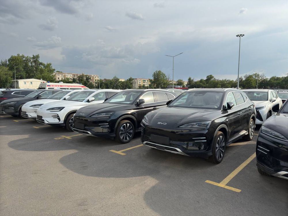 Byd chempion 605km 2025 smart full