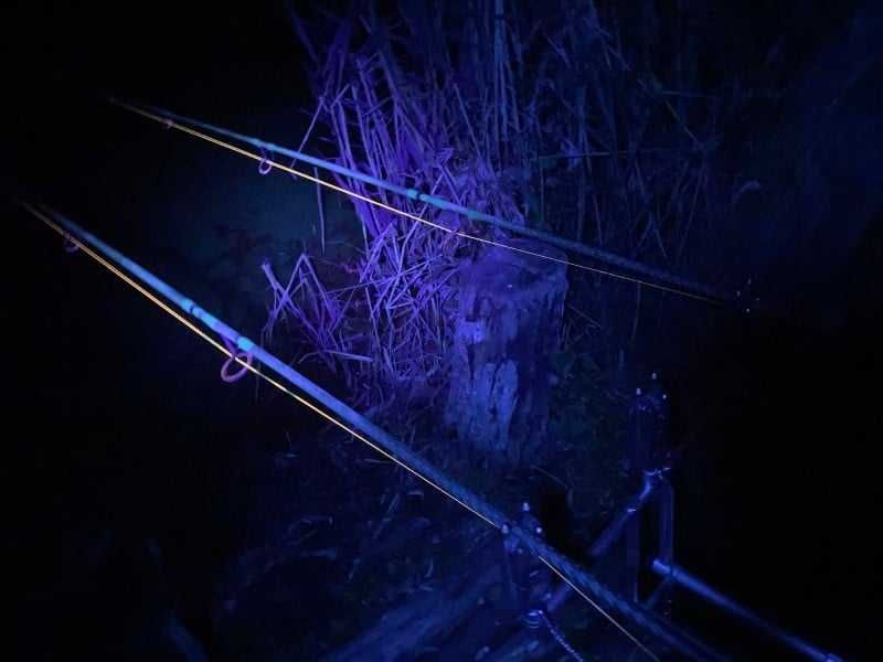 УВ прожектор ANACONDA Vipex UV-Blackflash 68