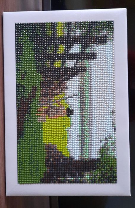 картина по алмазам размер 20×30