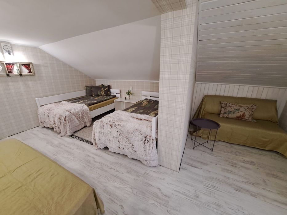 Cabana Borzia/Rastolita Mures (liber craciun)