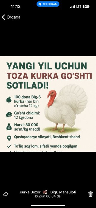 Big 6 kurka gush maxsulotlari 100 %garantyasi bilan