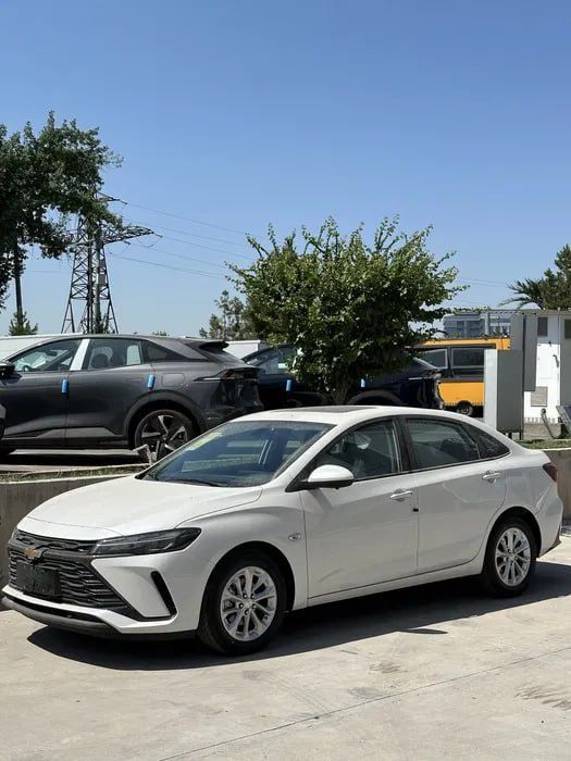 Monza bosh tolov 30%