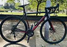 Canyon Inflie CF AL