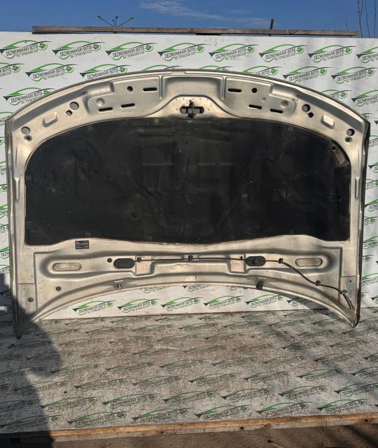 Capota motor Volkswagen VW Passat B5