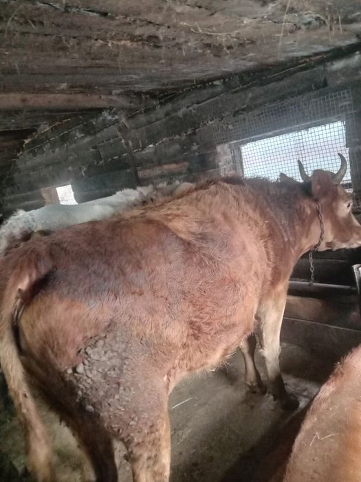 Продам  600000 продам