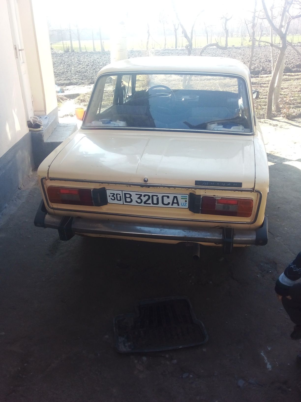 Suyagi butun jig