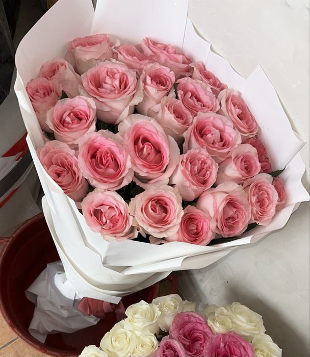Розовые Розы свежие 25штук