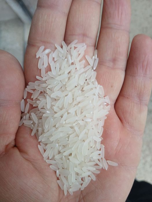 Хоразм гуручлари перечисления ва накдга гуруч guruch