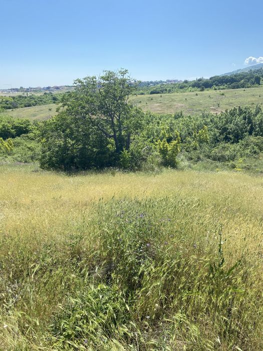 Земеделска земя Белащица/Марково