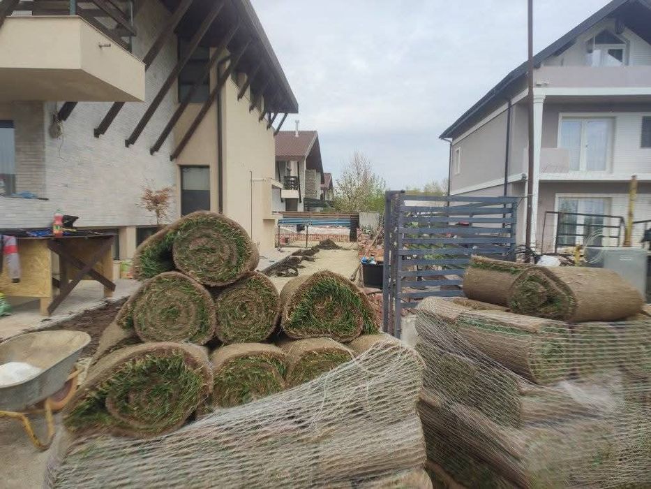 Amenajăm curți gazon rulou sport