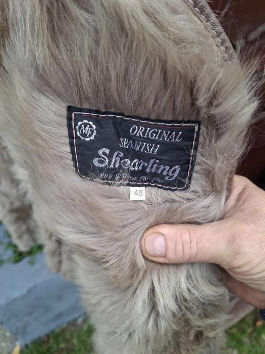 Cojoc alain delon dama