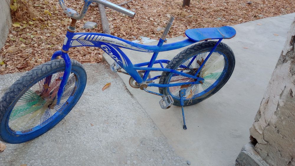 Velosped Bars 20 2024