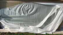 Sticla  securizată 200cm/ 85 cm/7 mm