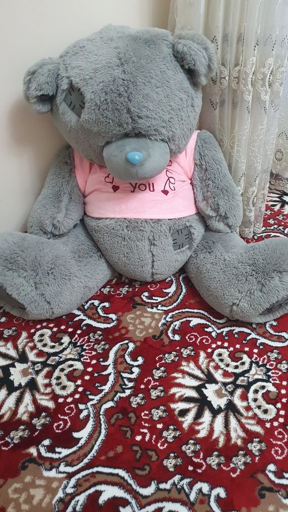 TEDDY  ayiqcha 1ta dona