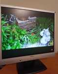 Monitor Belinea- 1930-S2
