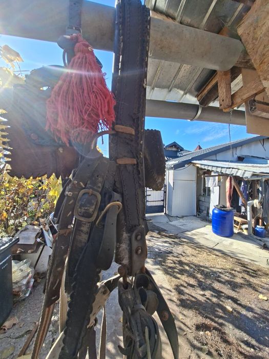 Vând ham pentru cal