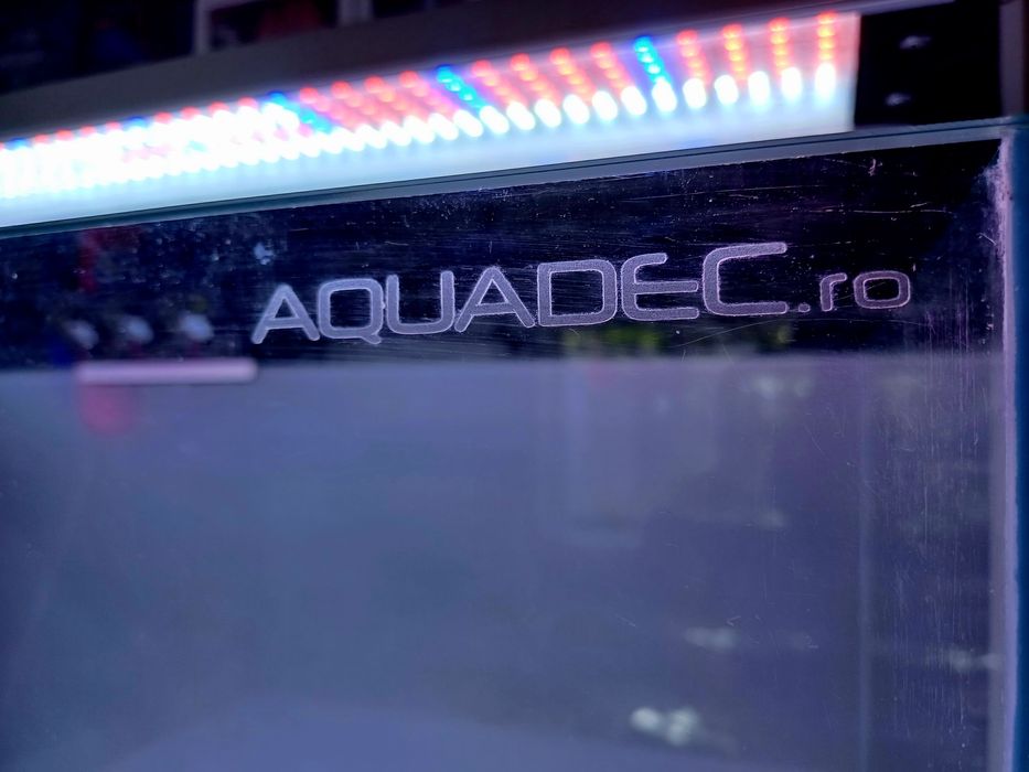 Vând ansamblu acvariu