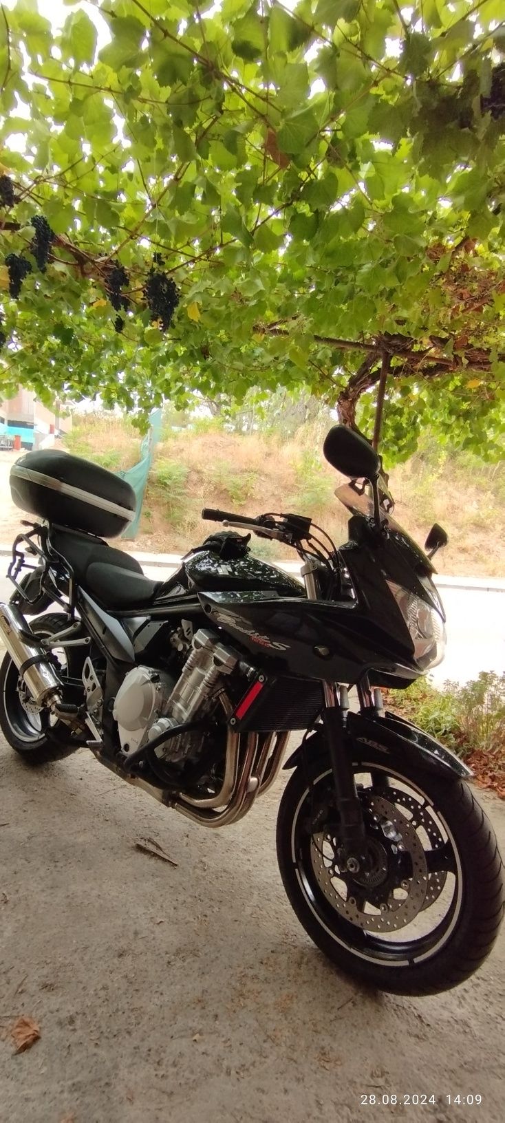 Suzuki Gsx 1250i S Bandit