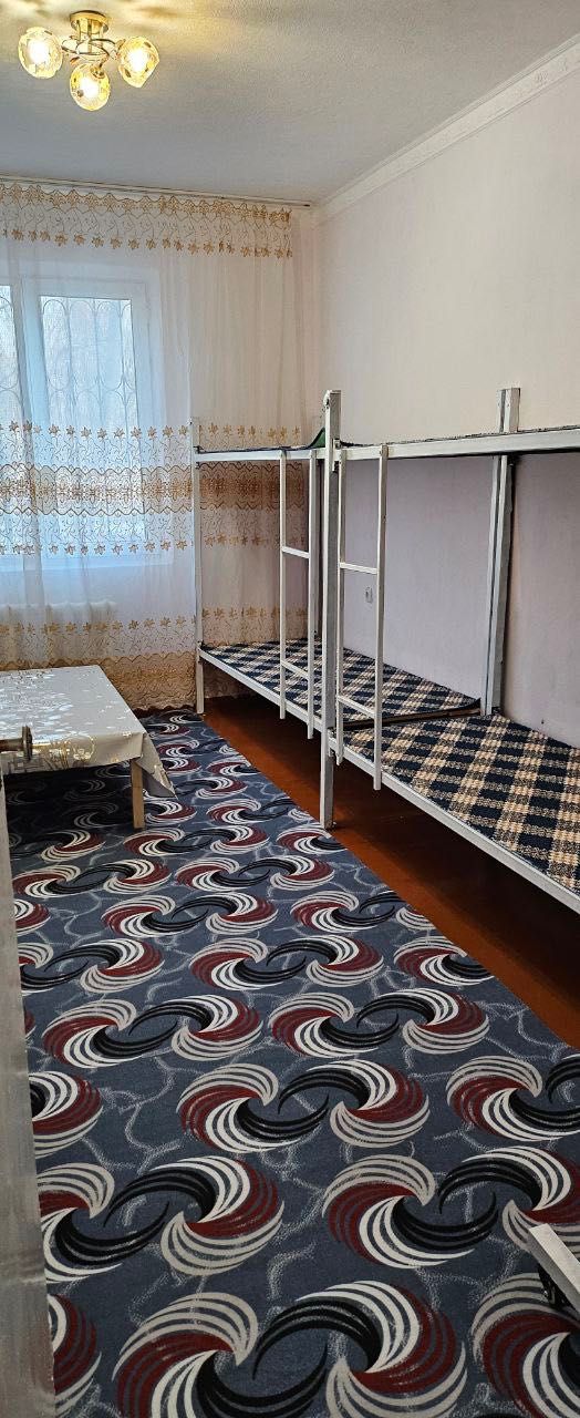 Chilonzor Mirzo Ulugbek metro ,2 xonali kvartira ijaraga beriladi