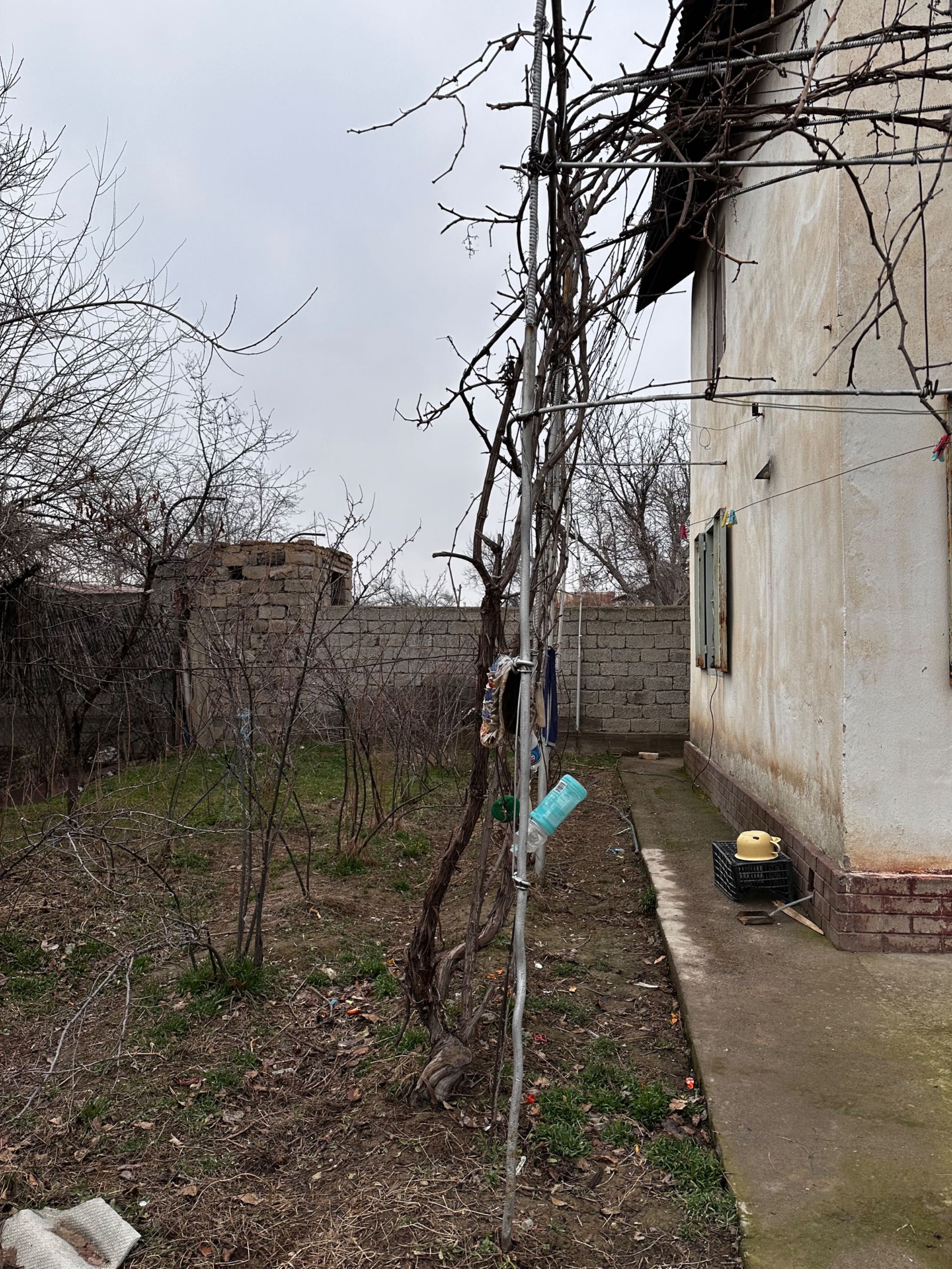 Дача в Чирчике с пропиской