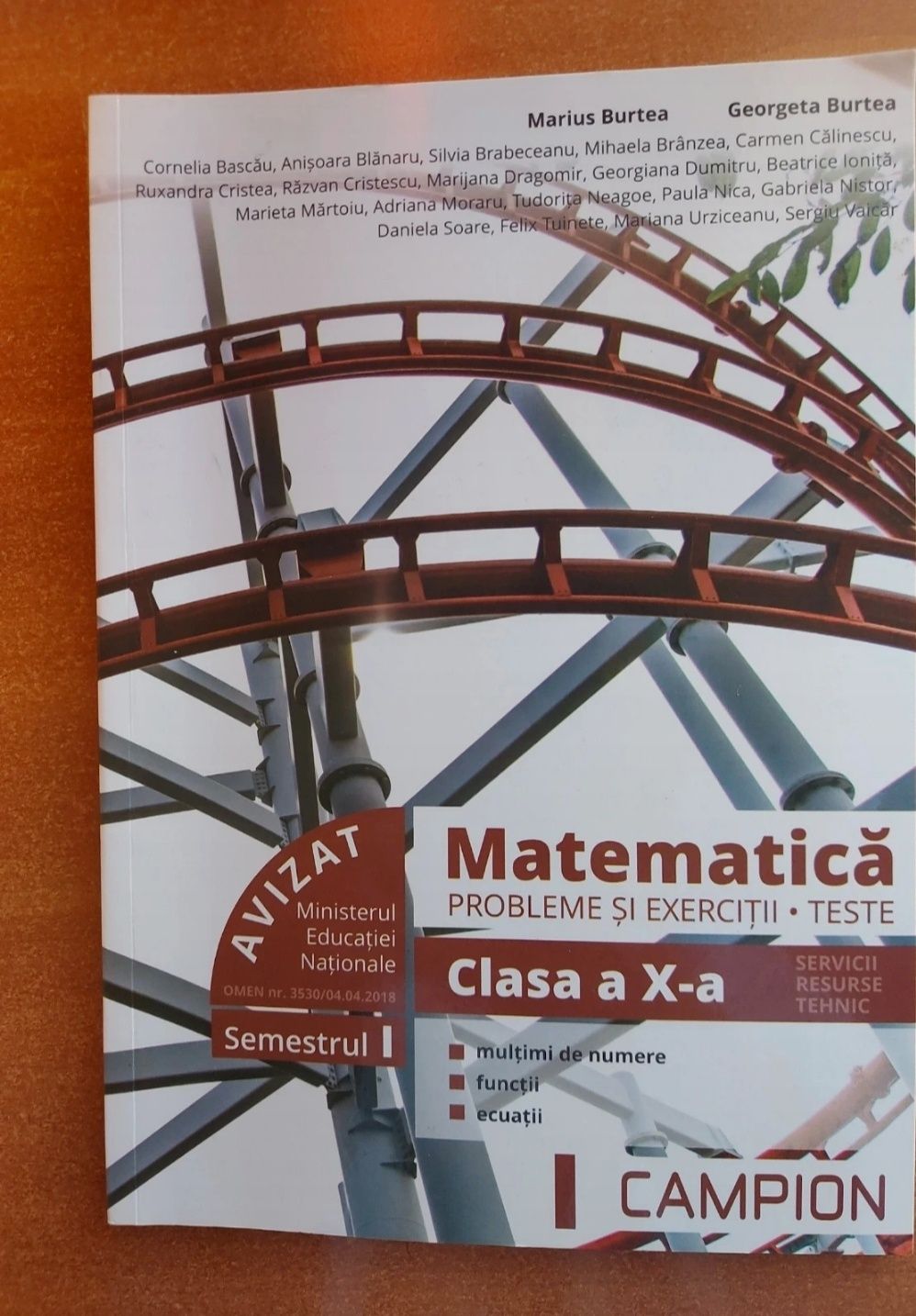 Set de 2 culegeri de matematică clasa a 10a, profil tehnologic