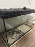 Acvariu pesti 160 l