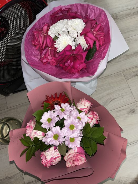 продам цветы недорого