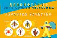 Уничтожение насекомых тараканов клопов Дезинфекция