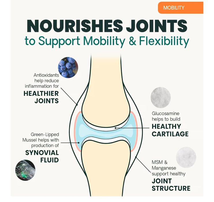 Medicamente suplimente pentru catei