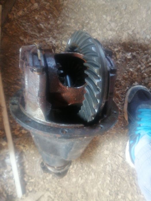 Grup spate aro 24 nou 33 cu 8 colecție