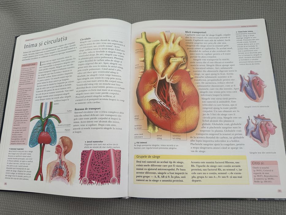 Enciclopedia lumii pentru copii
