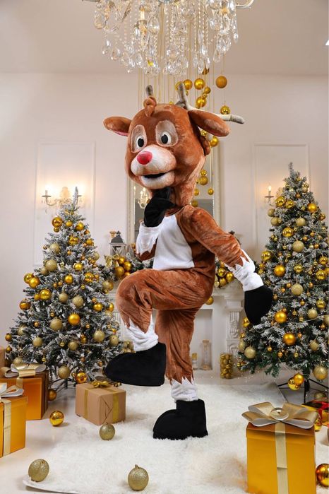 Дед мороз. Снегурочка. Олень. Гринч. Qor bobo. Qor qiz. Shou. Animator