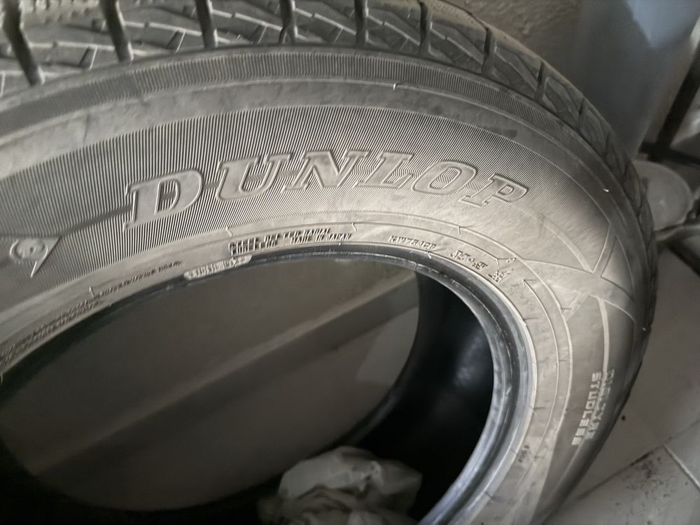 Зимние шины Dunlop