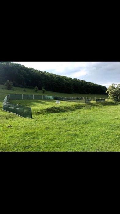 Teren Codlea - 3 loturi