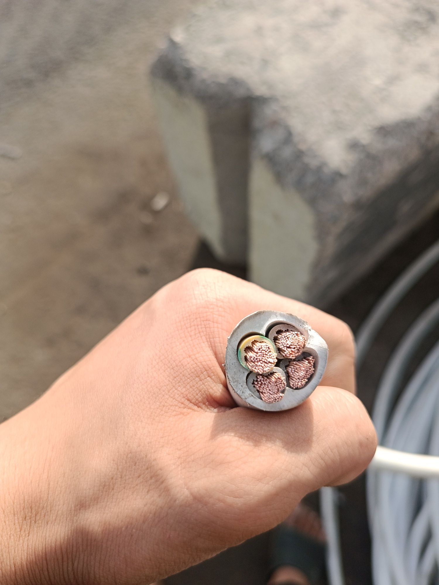 Kabel 2*2.5. Vvg avvg pugnp punp apunp optim narxda