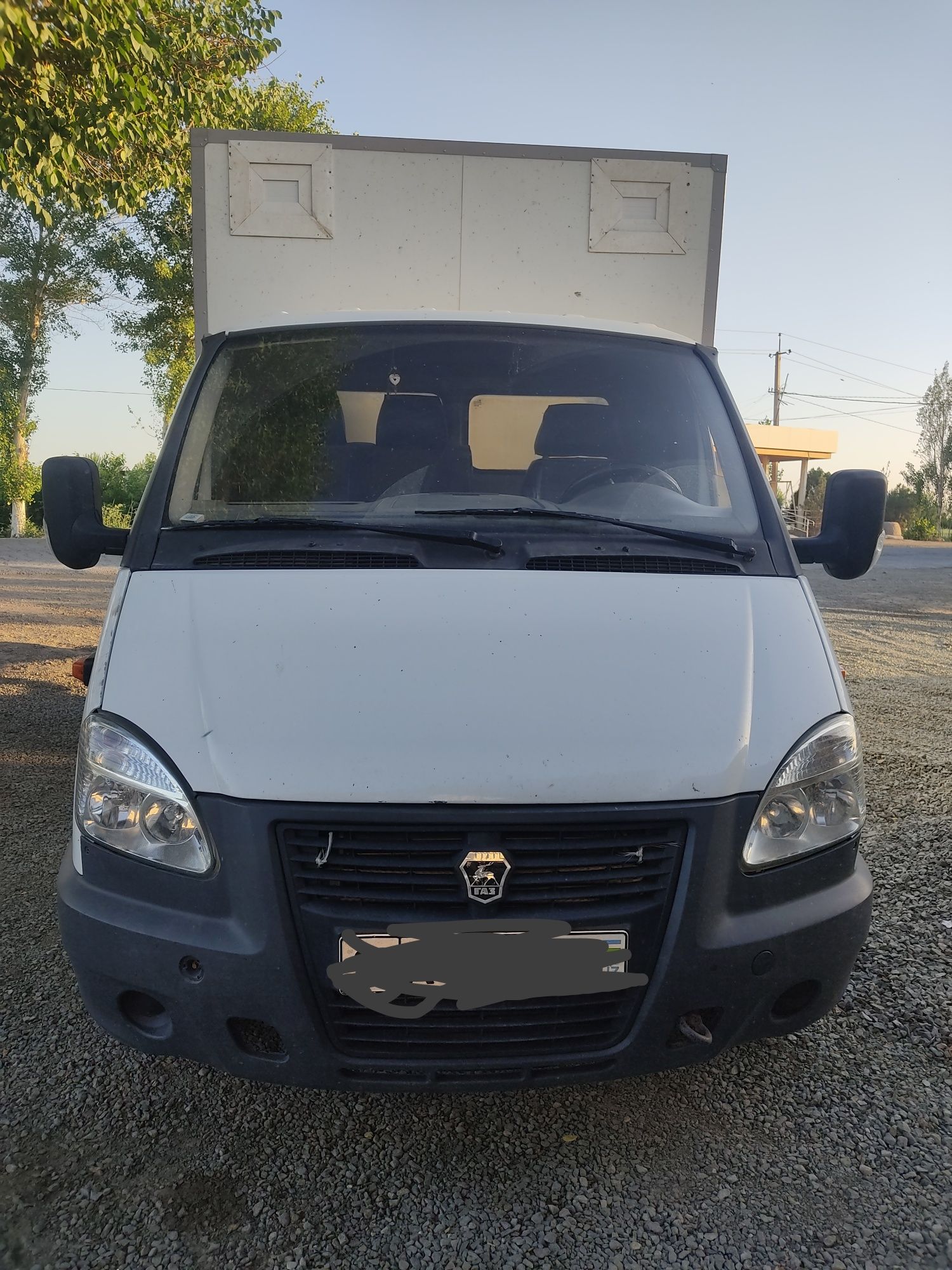 Gazel sotladi yil 12