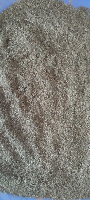 Продам высушенные семена крапивы для медицинских целей.