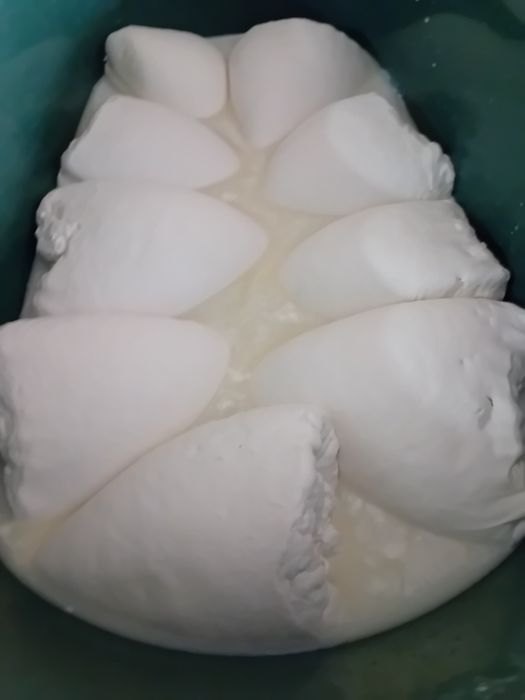 Branza veche de oaie