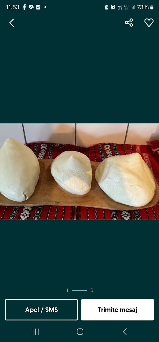 Vind brinza de oi