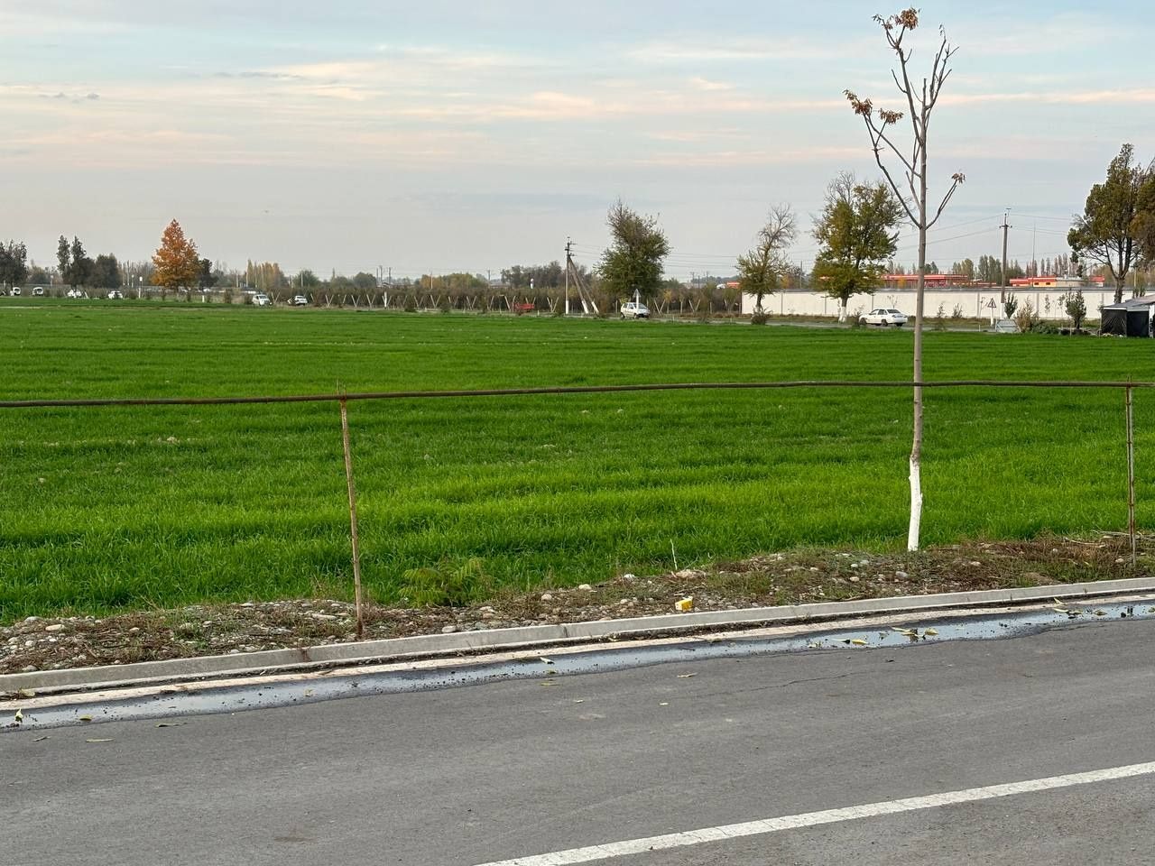 Дурмень, Кибрайский район Продаётся земельный участок 24-соток