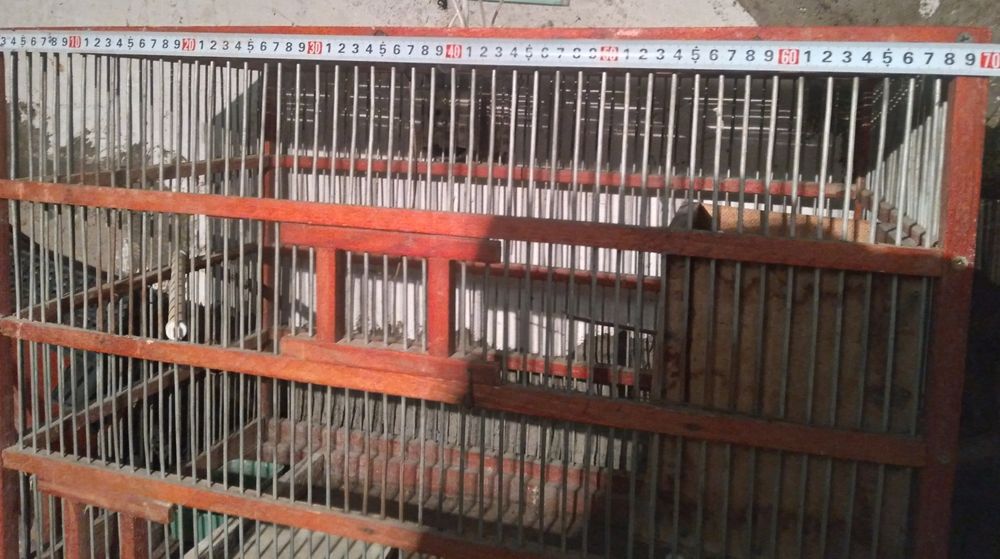 Продам большую клетку