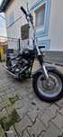 Harley Davidson Softail