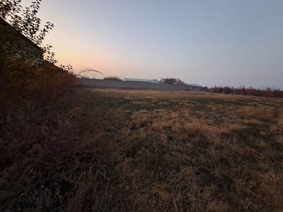 25 сотох ер сотилади хужжатидан муаммо йук