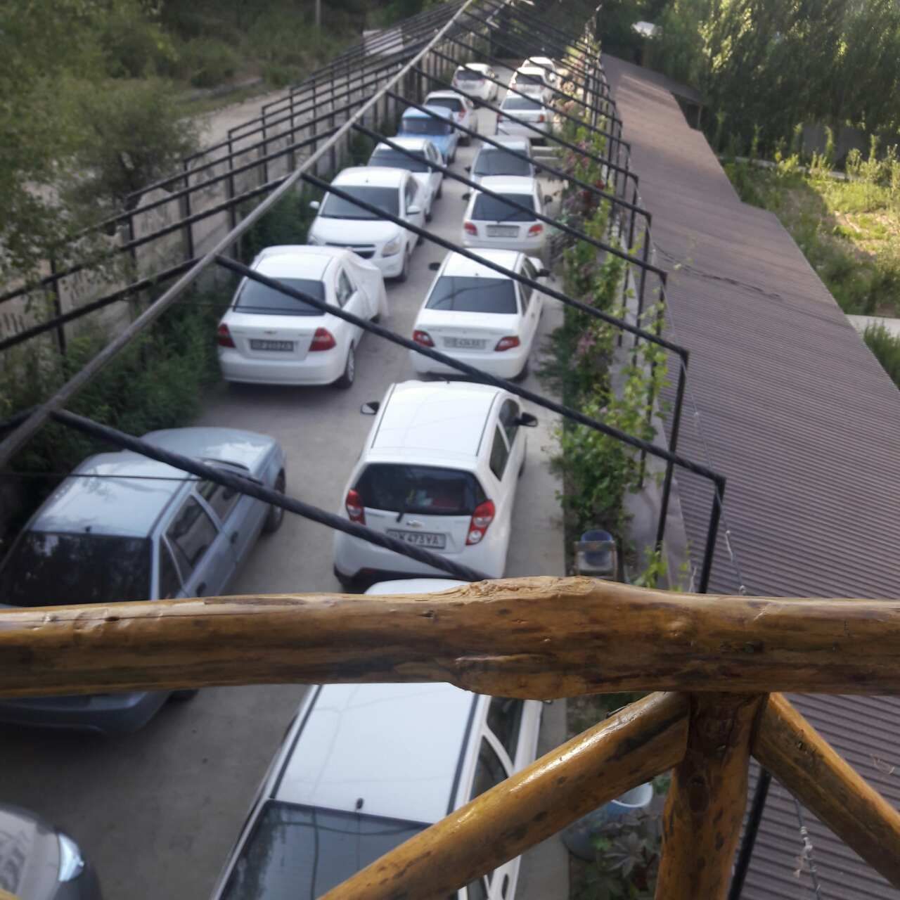 Срочна Дача сотилади, 40 сотих, хужжатлари бор, тайёр бизнес.