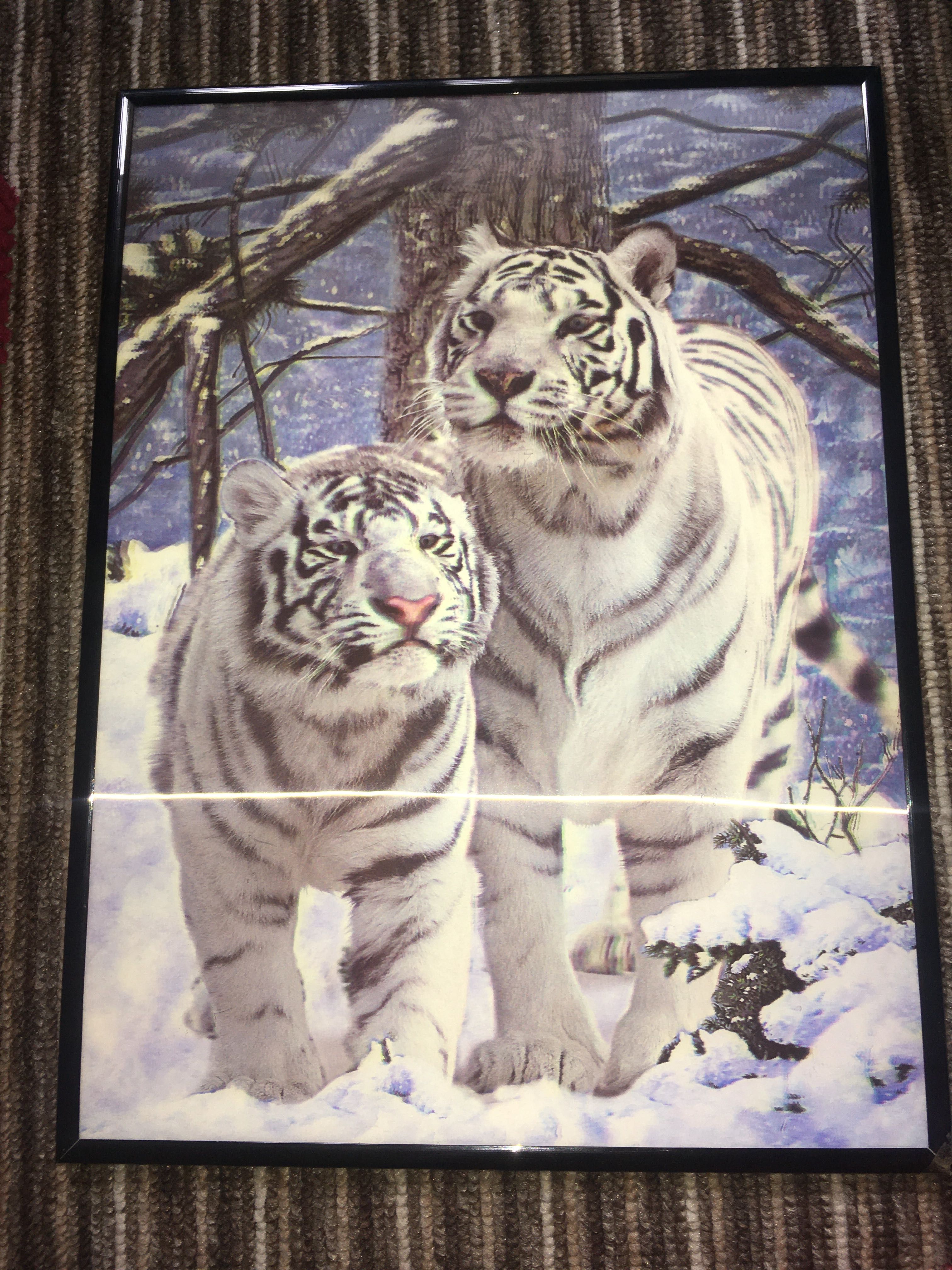 Tablou tigri albi