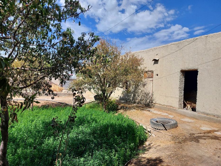 Uchastka sotiladi.narxi kelishiladi.pul zarur