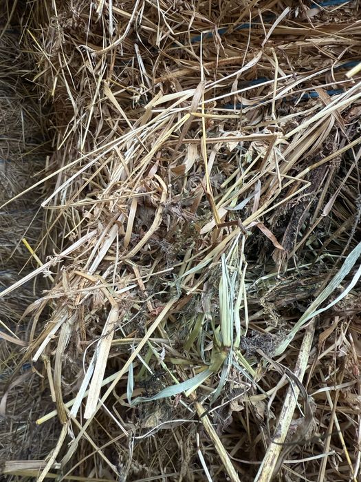 Vand baloti rotunzi 150x150 de lucerna coasa 1, coasa 2 sau amestec